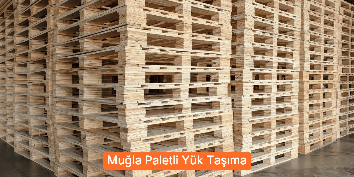 Paletli Yük Taşıma