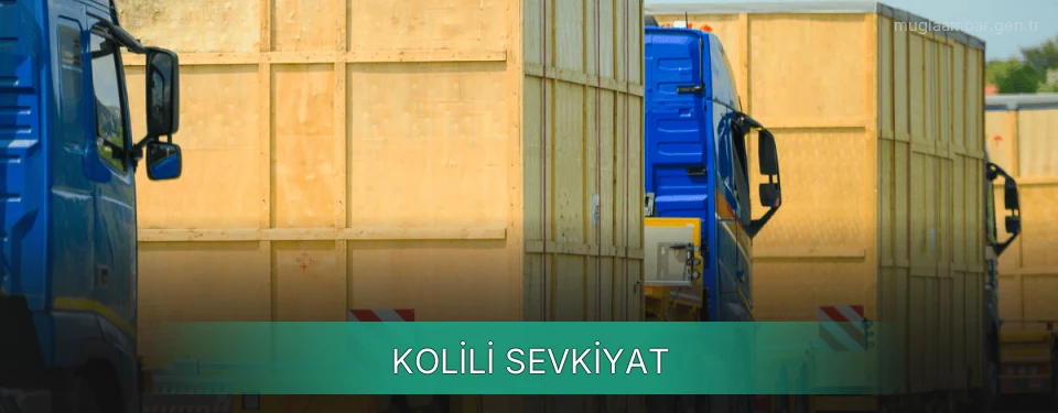 Muğla Kolili Sevkiyat Ambar Firmaları Muğla Kolili Sevkiyat Ambar Firmaları