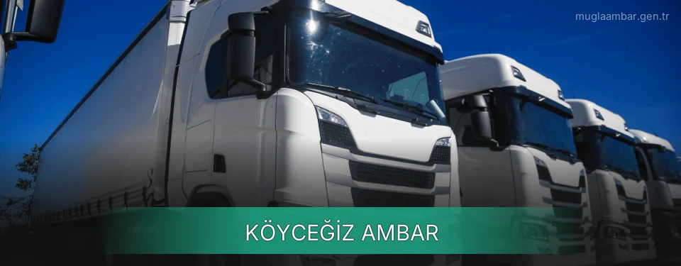 Köyceğiz Ambar Kargo Köyceğiz Ambar Kargo