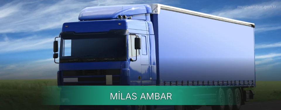 Milas Ambar